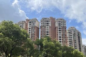 中字頭集體大漲,中南股份、中國鐵建漲停,央企回報ETF(561960)漲3.75%