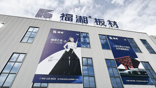 創(chuàng)新齊聚力 同心向未來(lái)丨福湘北方 臨沂 客戶服務(wù)中心成立暨新產(chǎn)品發(fā)布會(huì)圓滿成功
